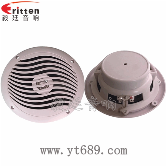 8''中低音舞台音箱喇叭厂家正反面