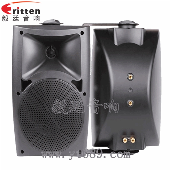 8''中低音舞台音箱喇叭厂家正反面