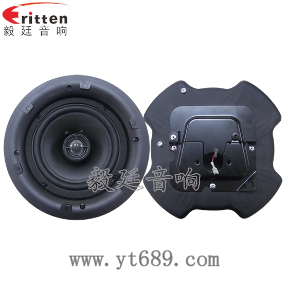 8''250w 重低音喇叭正反面