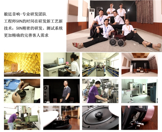2寸全频HIFI音箱喇叭研发团队