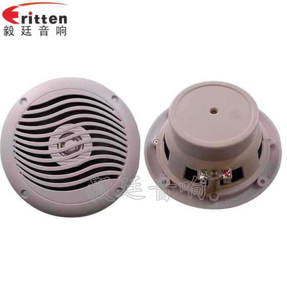 8''中低音舞台音箱喇叭厂家正反面