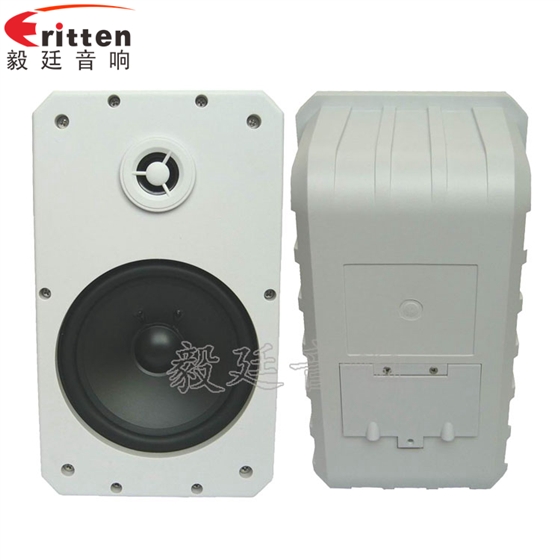 8''中低音舞台音箱喇叭厂家正反面