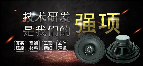 6.5寸（179.5mm）25芯泡边PP盆120W外同轴全频汽车喇叭