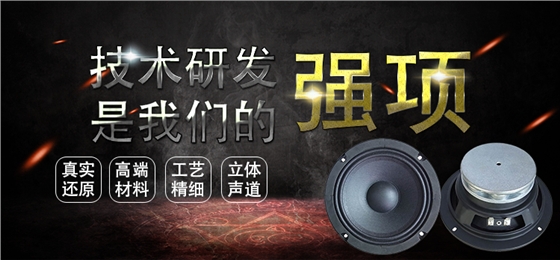 6.5寸中高音舞台音箱喇叭