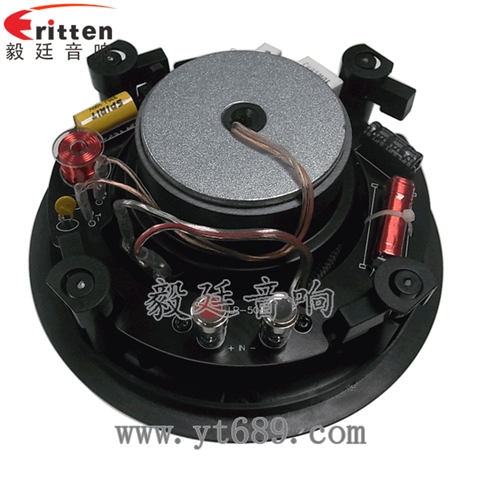 5.25寸30W全频同轴天花喇叭