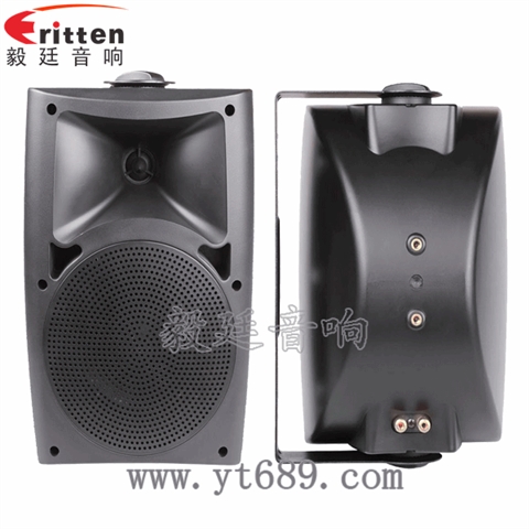 5.25寸2路壁挂音箱