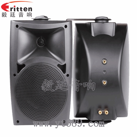 5.25寸2路壁挂音箱