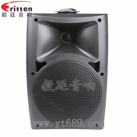 5.25寸2路壁挂音箱