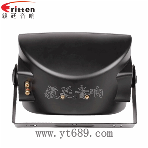 5.25寸2路壁挂音箱