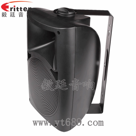 5.25寸2路壁挂音箱