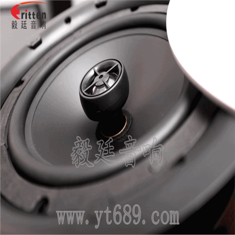 8寸天花吸顶喇叭