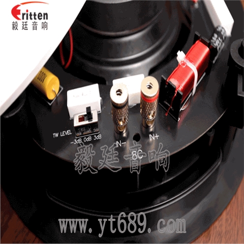 8寸天花吸顶喇叭