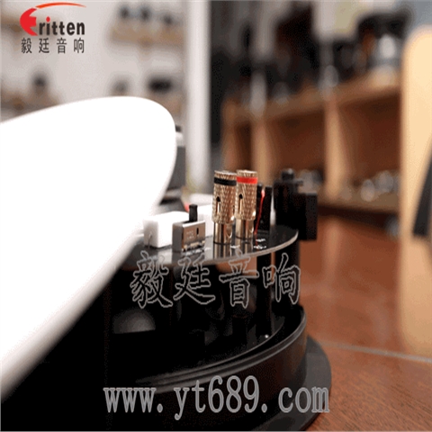 8寸天花吸顶喇叭