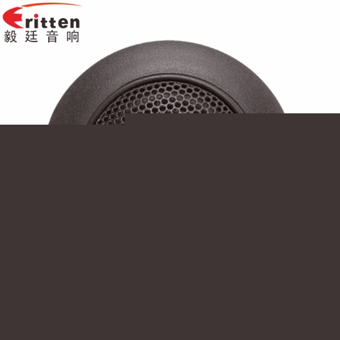 2寸汽车改装高音喇叭