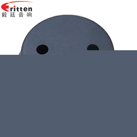 2寸汽车改装高音喇叭