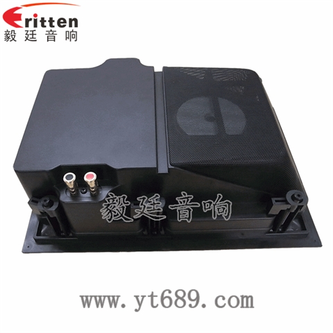 5.25寸墙壁喇叭厂家