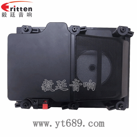 5.25寸墙壁喇叭厂家