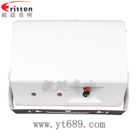 6.5寸2路墙壁音箱