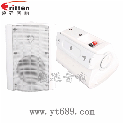 4寸25芯挂壁音箱喇叭