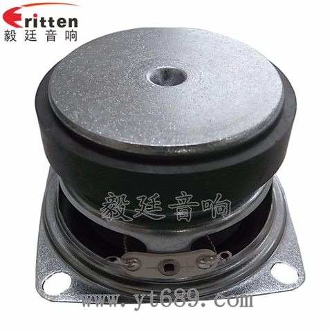 53mm10W全频喇叭