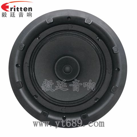 8寸25芯全频喇叭