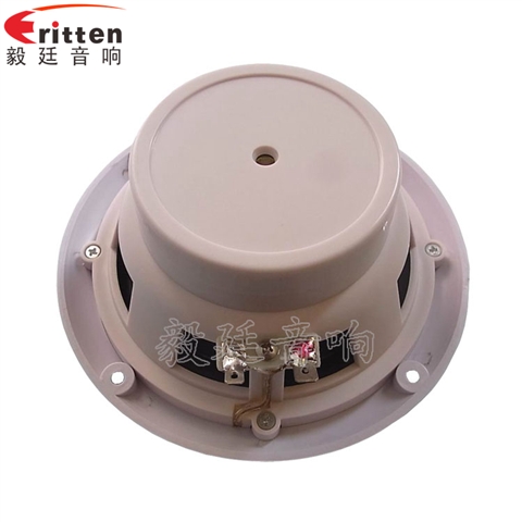 5寸轮船扬声器厂家