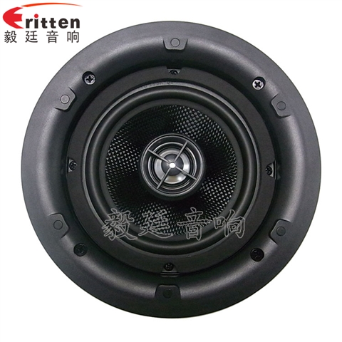 5.25寸天花扬声器
