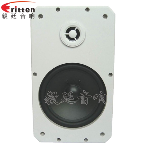 10寸专业音箱喇叭