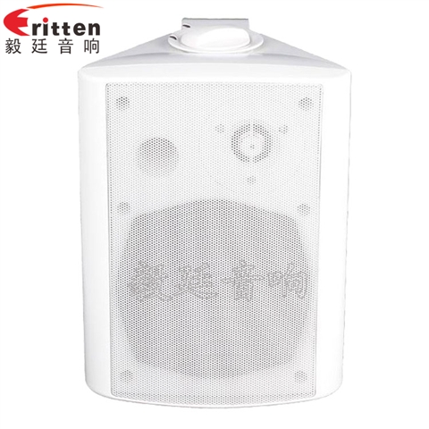 5.25寸挂壁音箱喇叭