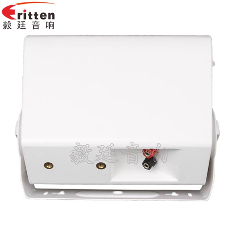 5.25寸挂壁音箱喇叭