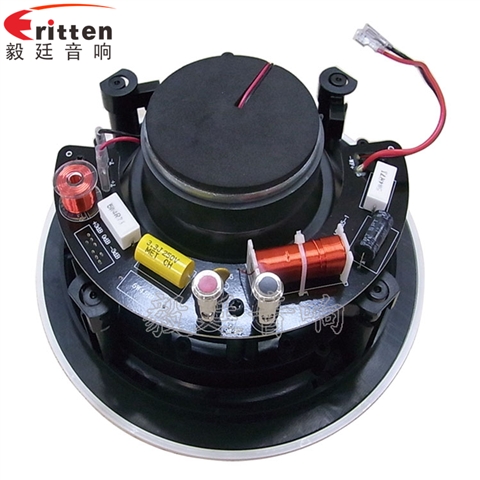 6.5寸天花喇叭厂家