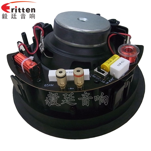 高端6.5寸吸顶式天花喇叭