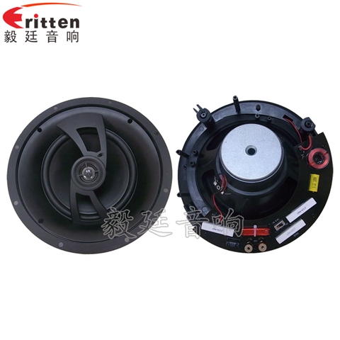 2路8寸吊顶喇叭