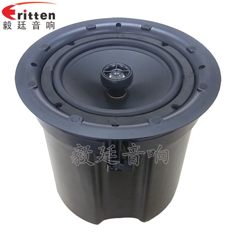 高音可旋转8寸天花板喇叭