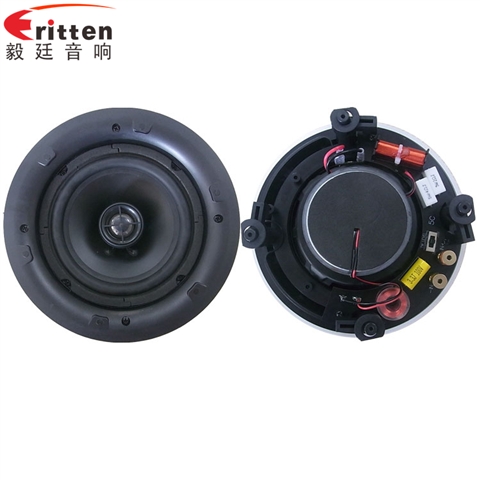 5.25寸天花吸顶式喇叭