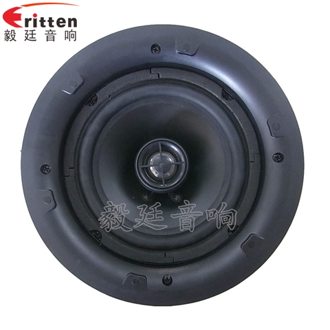 5.25寸天花吸顶式喇叭