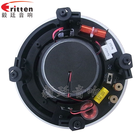 5.25寸天花吸顶式喇叭