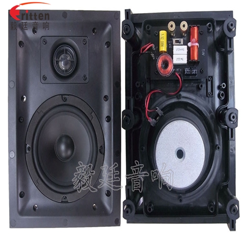 5.25寸2路墙壁喇叭