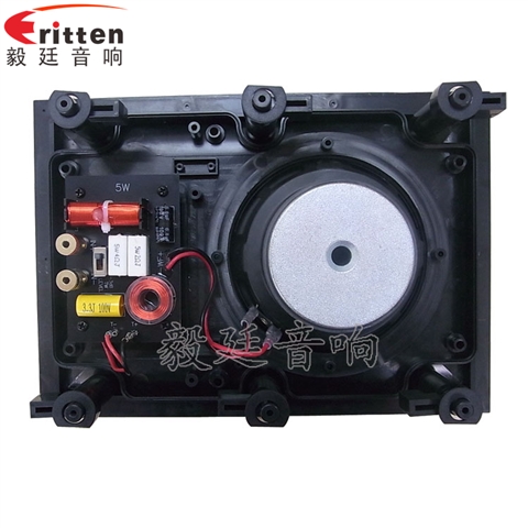 5.25寸2路墙壁喇叭