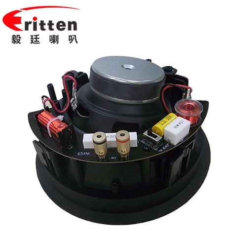 6.5寸吸顶式天花喇叭