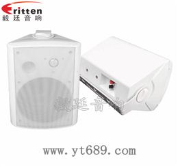 6.5寸2路墙壁音箱