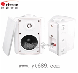 4寸25芯挂壁音箱喇叭