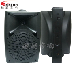 6.5寸墙壁音箱喇叭