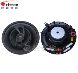 2路8寸吊顶喇叭