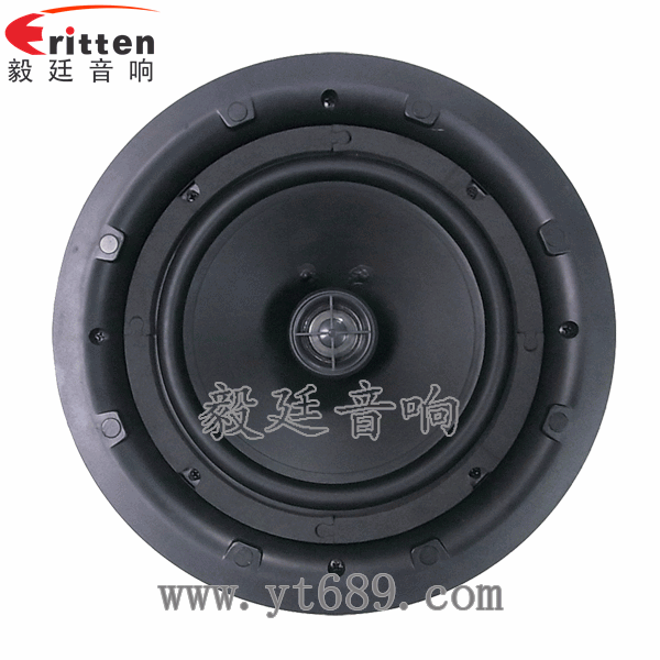 8''250w 重低音喇叭正面图