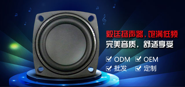 毅廷扬声器，饱满低频